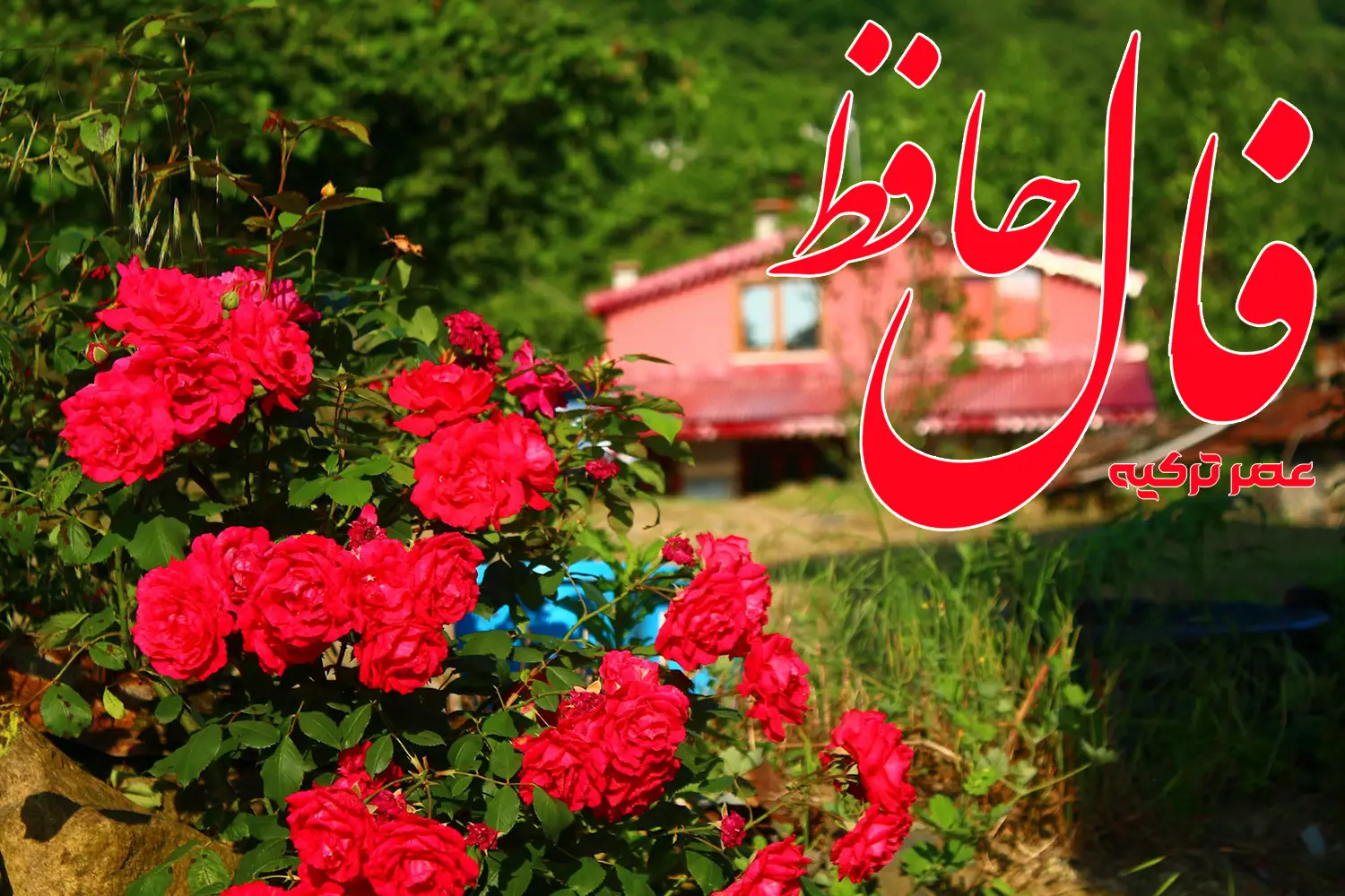 فال حافظ 15 تیر 1404