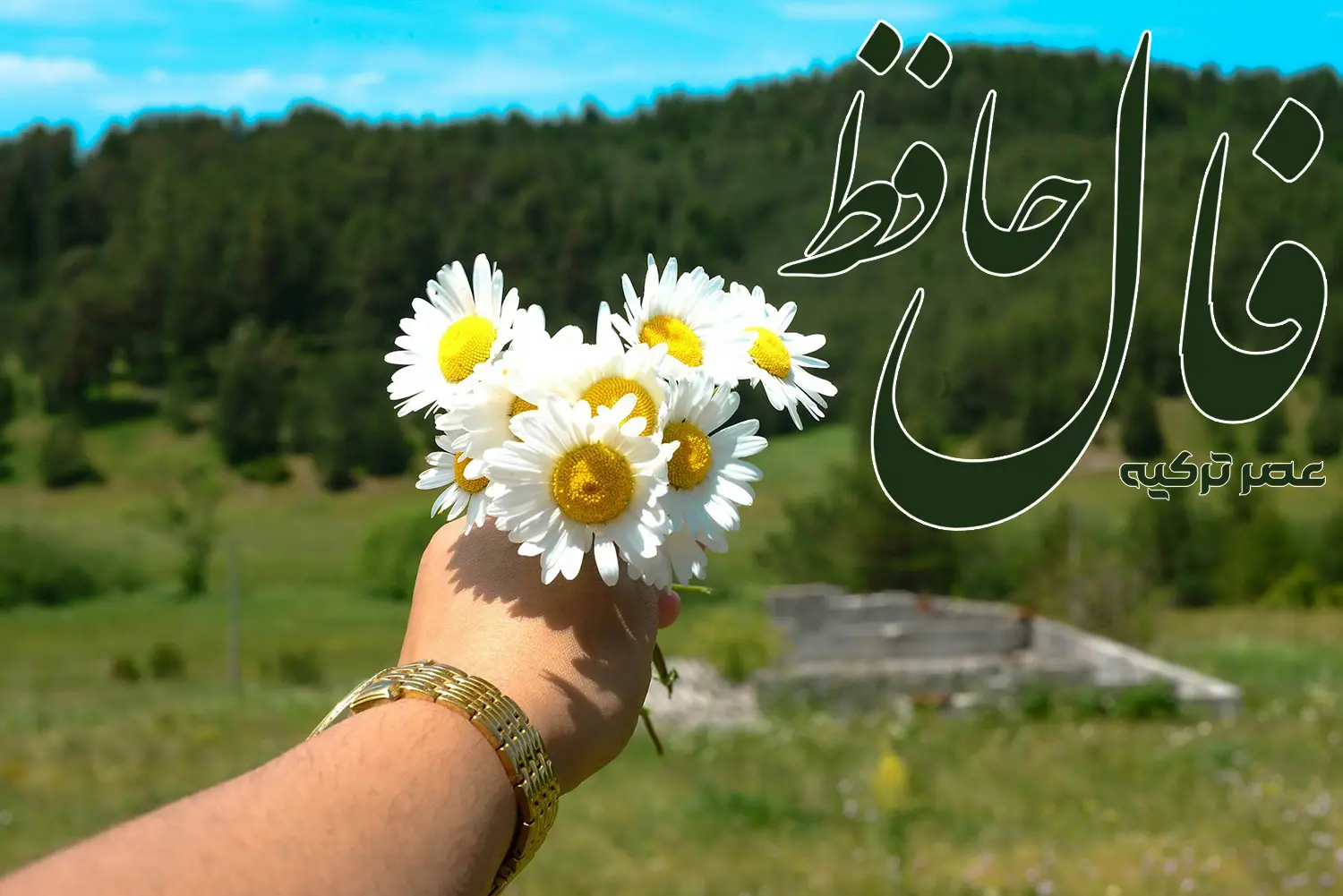 فال حافظ 16 تیر 1404