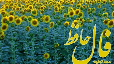 فال حافظ 5 تیر 1404