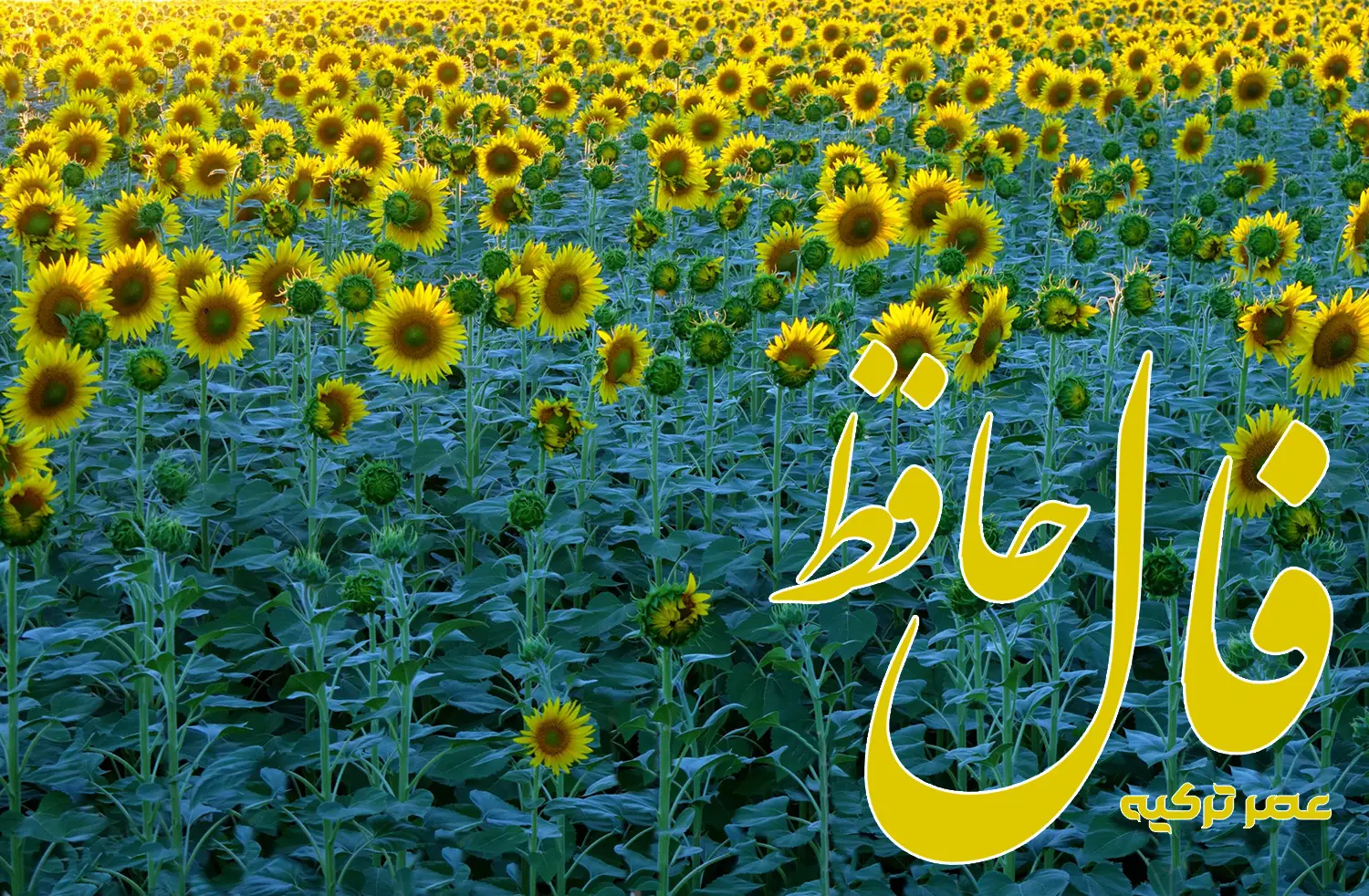 فال حافظ 5 تیر 1404
