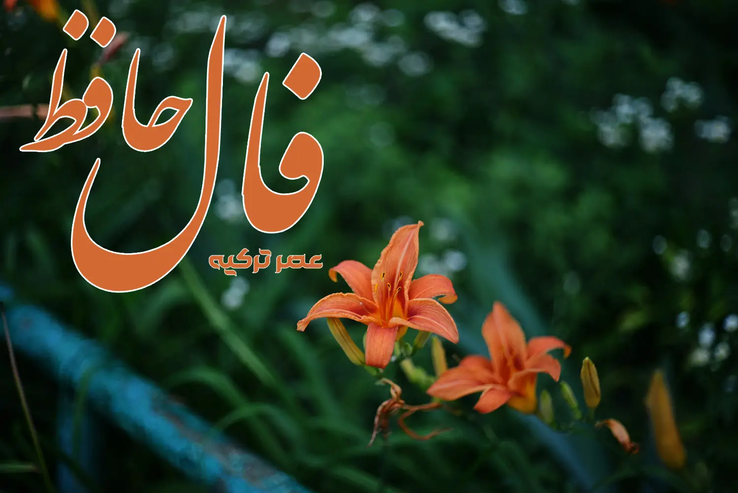 فال حافظ 7 تیر 1404