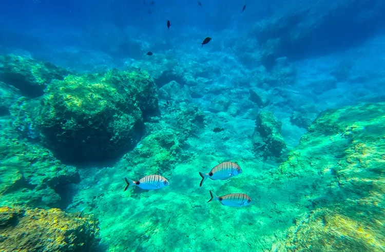 فانوس دریایی فتحیه 3