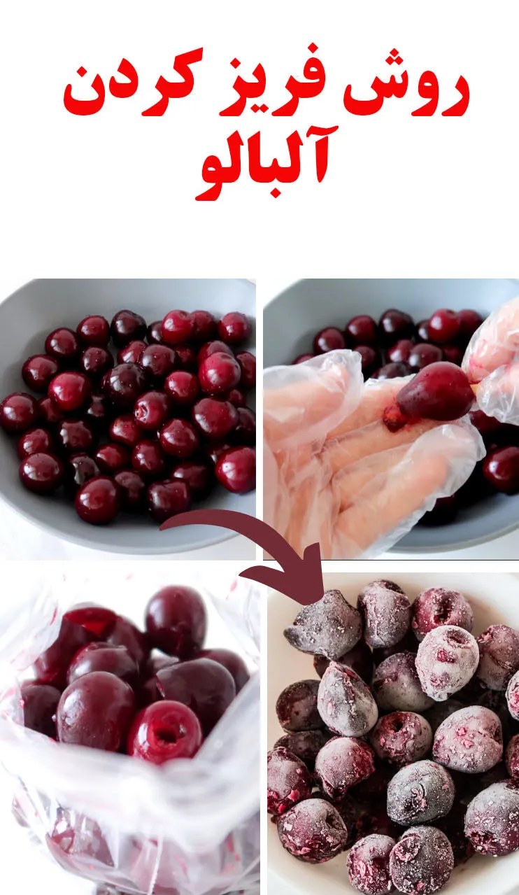 ایلان ماسک
