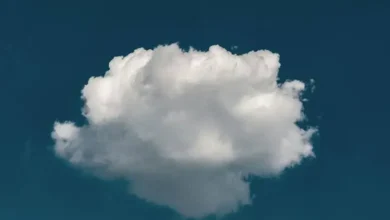 میکروپلاستیک‌