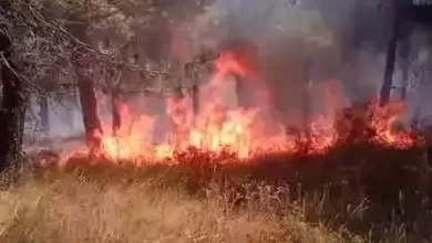 آتش‌سوزی