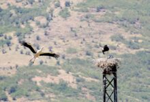 دلتای قزل‌ایرماق