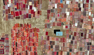 فریبندگی مزارع قالی در آنتالیا(عکس) 4 14 3