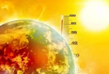 در امان ماندن از نیش پشه در تابستان