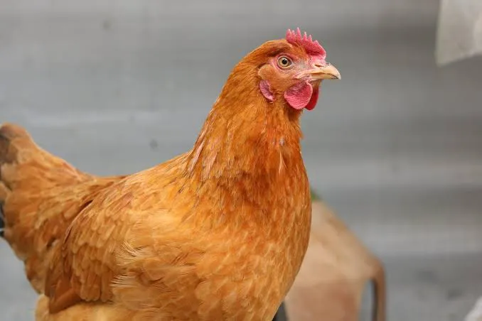 2 197