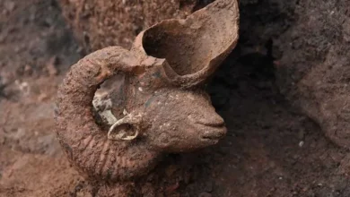 مجسمه