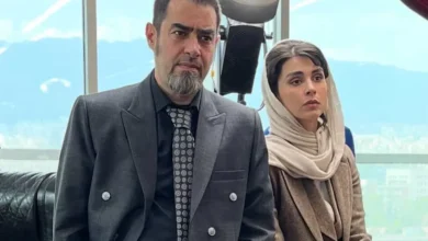 شهاب حسینی