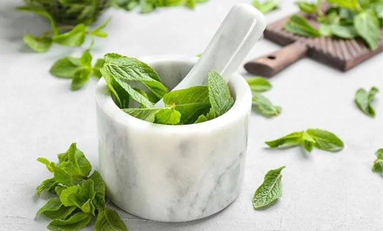 نعناع