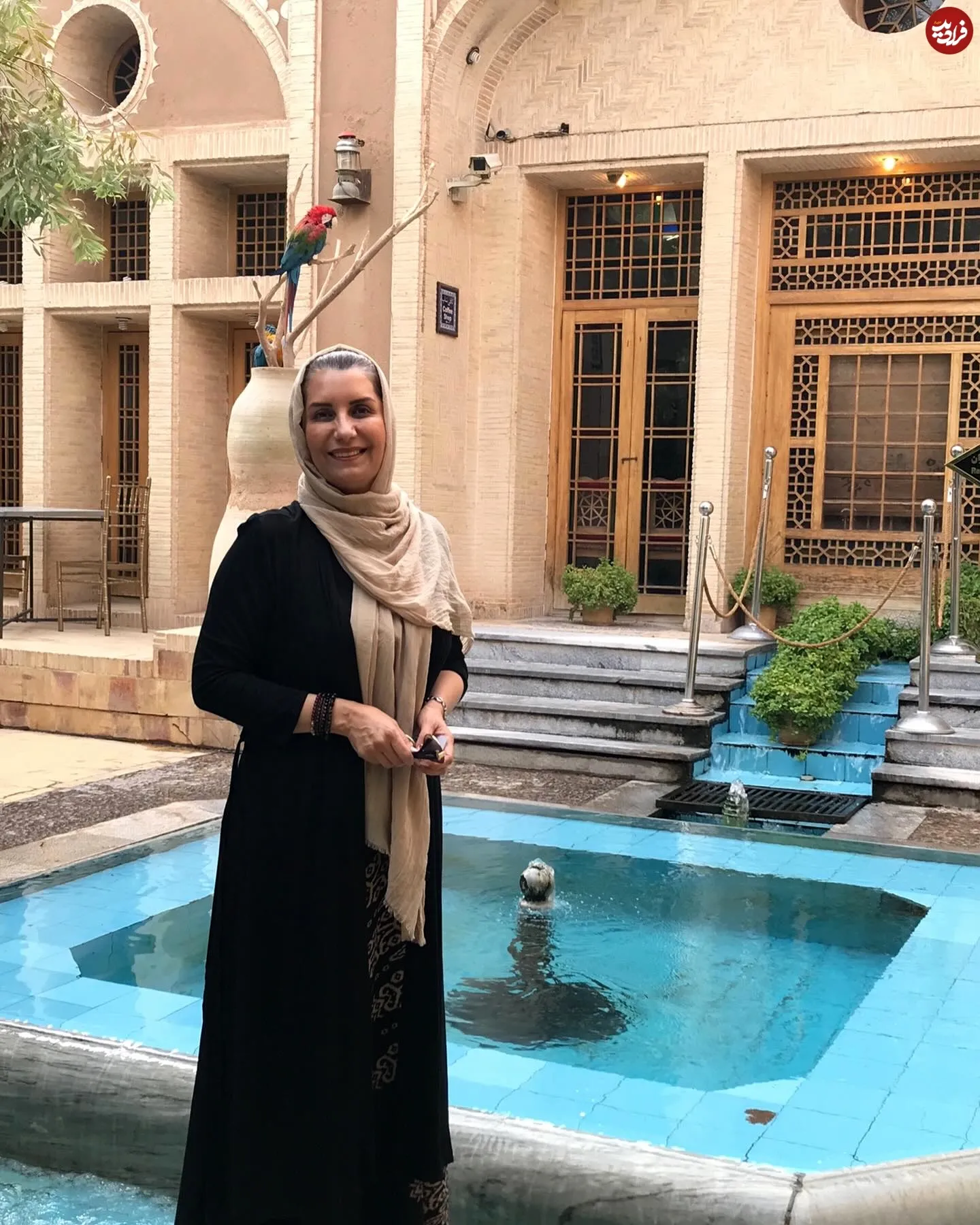 فریبا کوثری