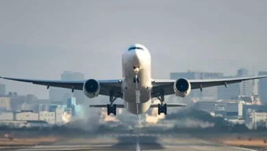 پرنده‌