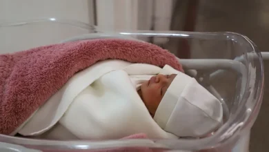 نوزاد