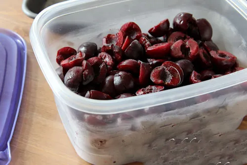 ایلان ماسک