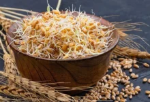 خستگی مفرط