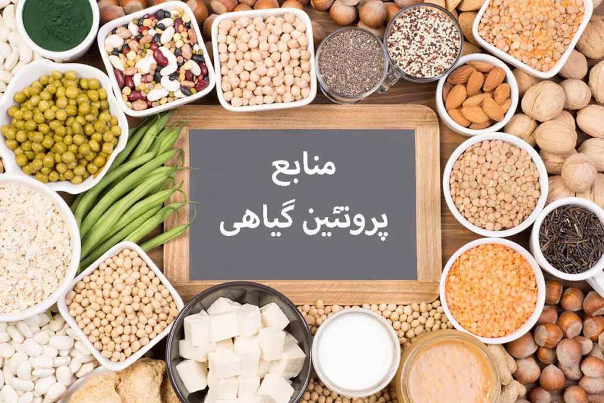 پروتئین