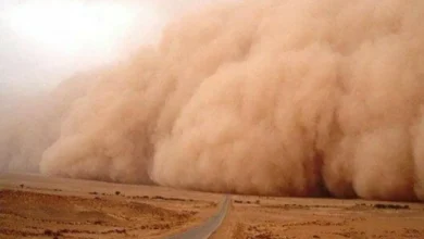 لحظه ورود گرد و خاک شدید به مشهد(+فیلم) 6 3 547