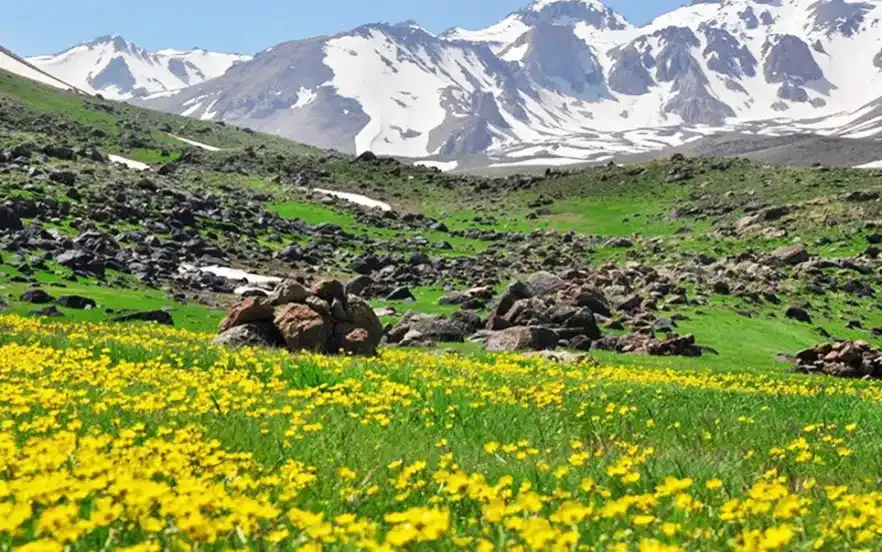 بهترین شهر ایران