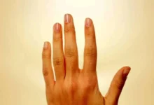 انعطافپذیری