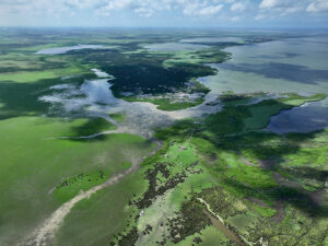 طبیعت بی نظیر دلتای کزل ارماک(عکس) 2 46 1