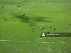 طبیعت بی نظیر دلتای کزل ارماک(عکس) 4 47 1