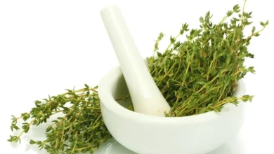 آویشن