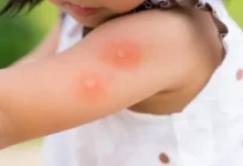 بدن