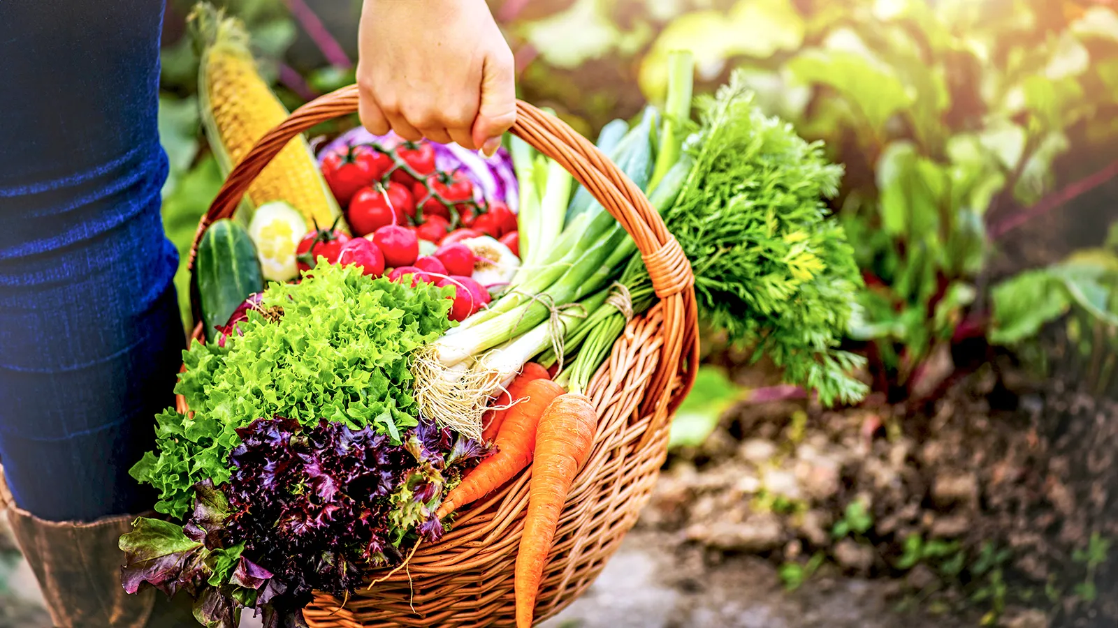 7 سبزیجات مناسب برای کاشتن در تابستان