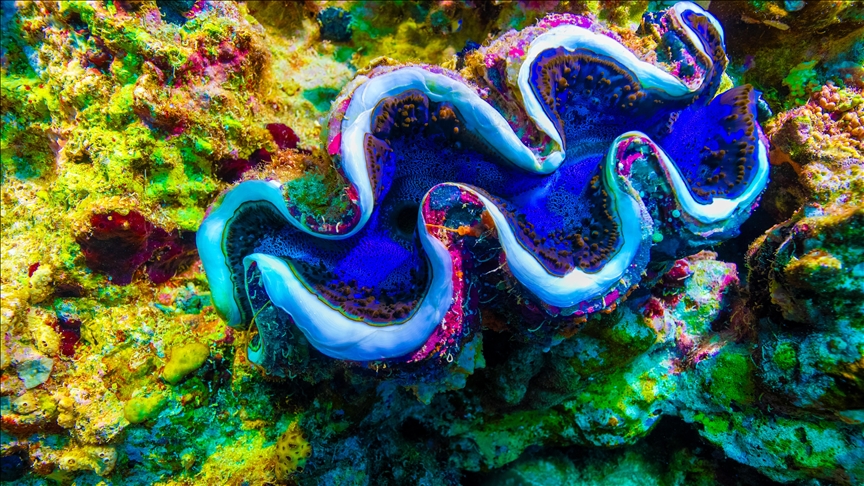 77 3