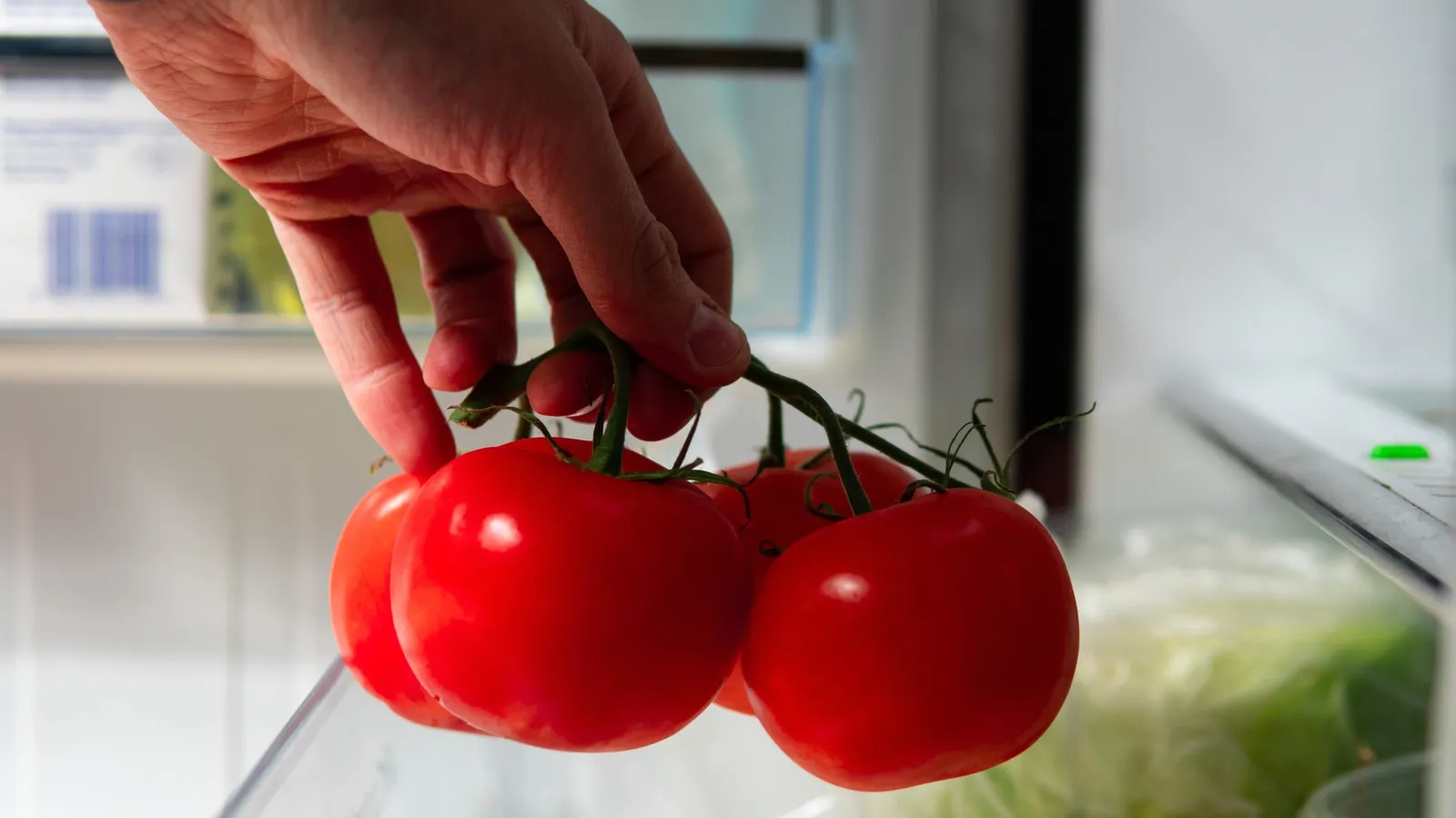 Tomatoes in the fridge