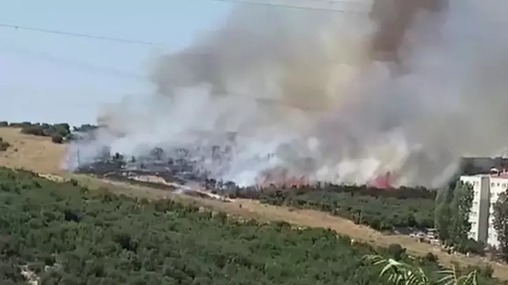آتش سوزی