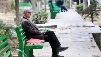 همسان‌سازی
