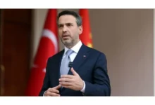 توربین چینی