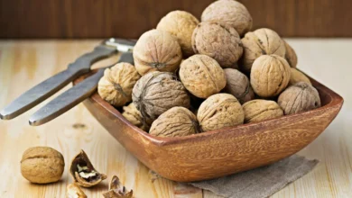 طرز تهیه سالاد الویه با گردو