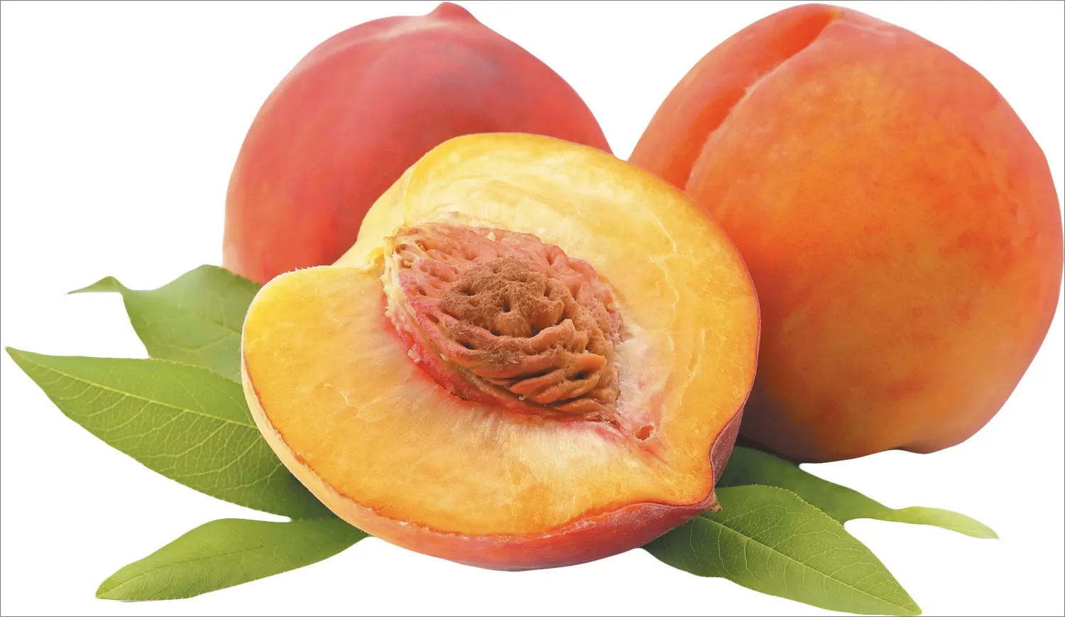 خاصیت این میوه تابستانی برای سم‌زدایی بدن