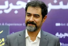 شهاب حسینی