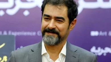 شهاب حسینی