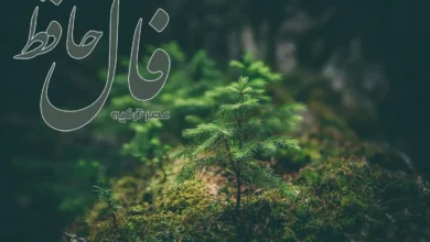 فال حافظ 17 تیر 1404