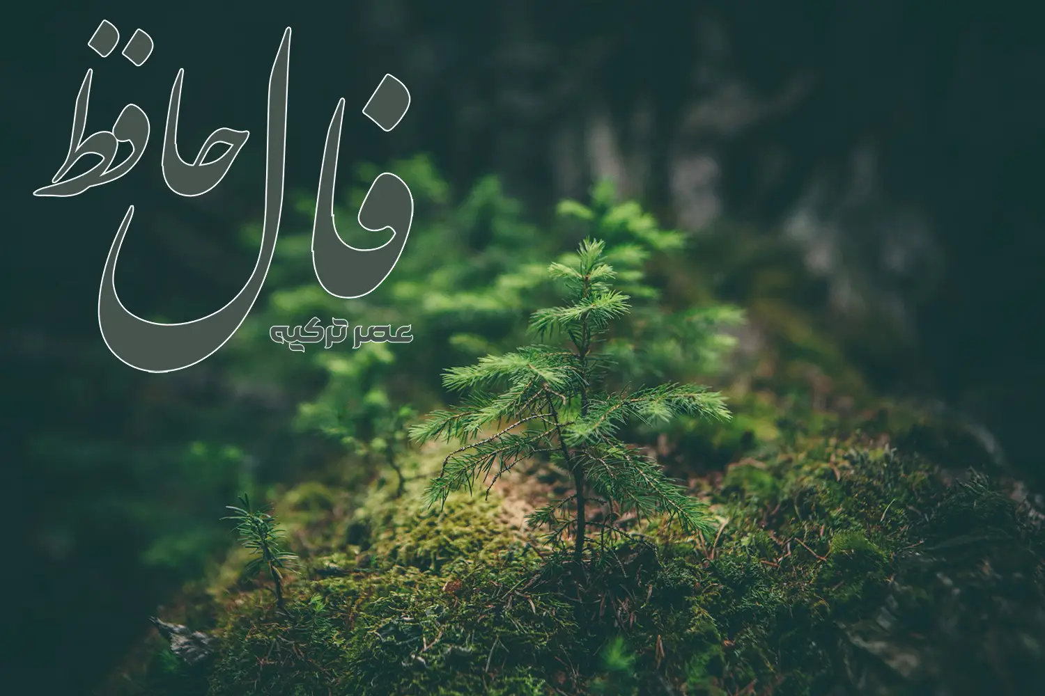فال حافظ 17 تیر 1404