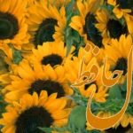 فال حافظ 20 تیر 1404