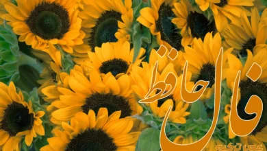 فال حافظ 20 تیر 1404