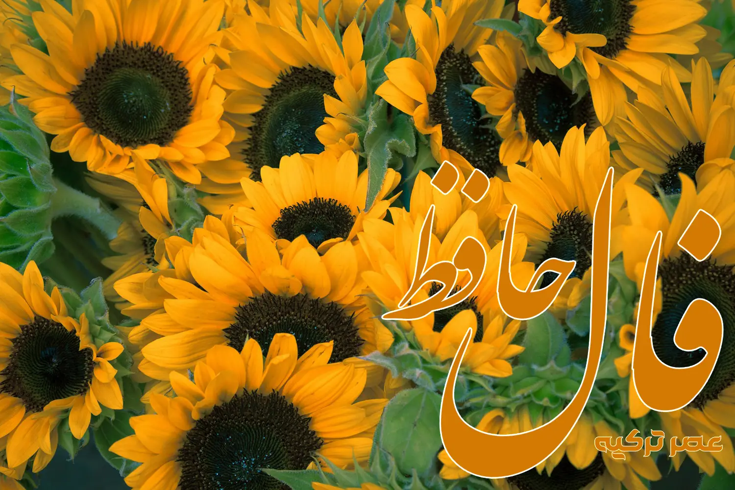 فال حافظ 20 تیر 1404