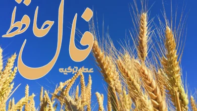 فال حافظ 21 تیر 1404