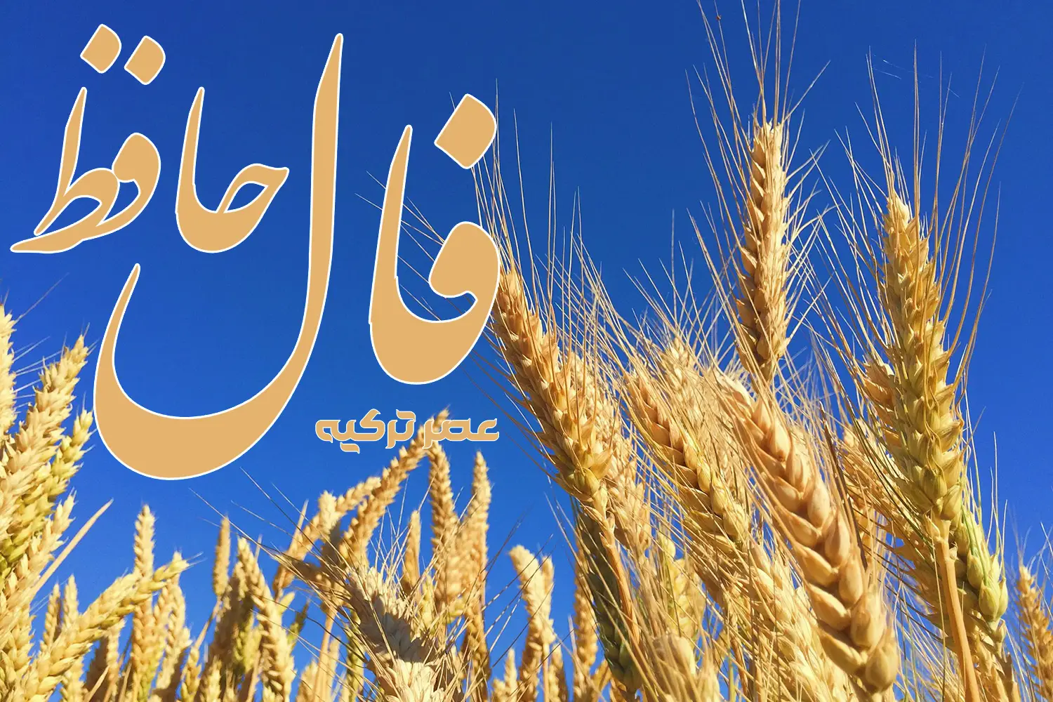 فال حافظ 21 تیر 1404