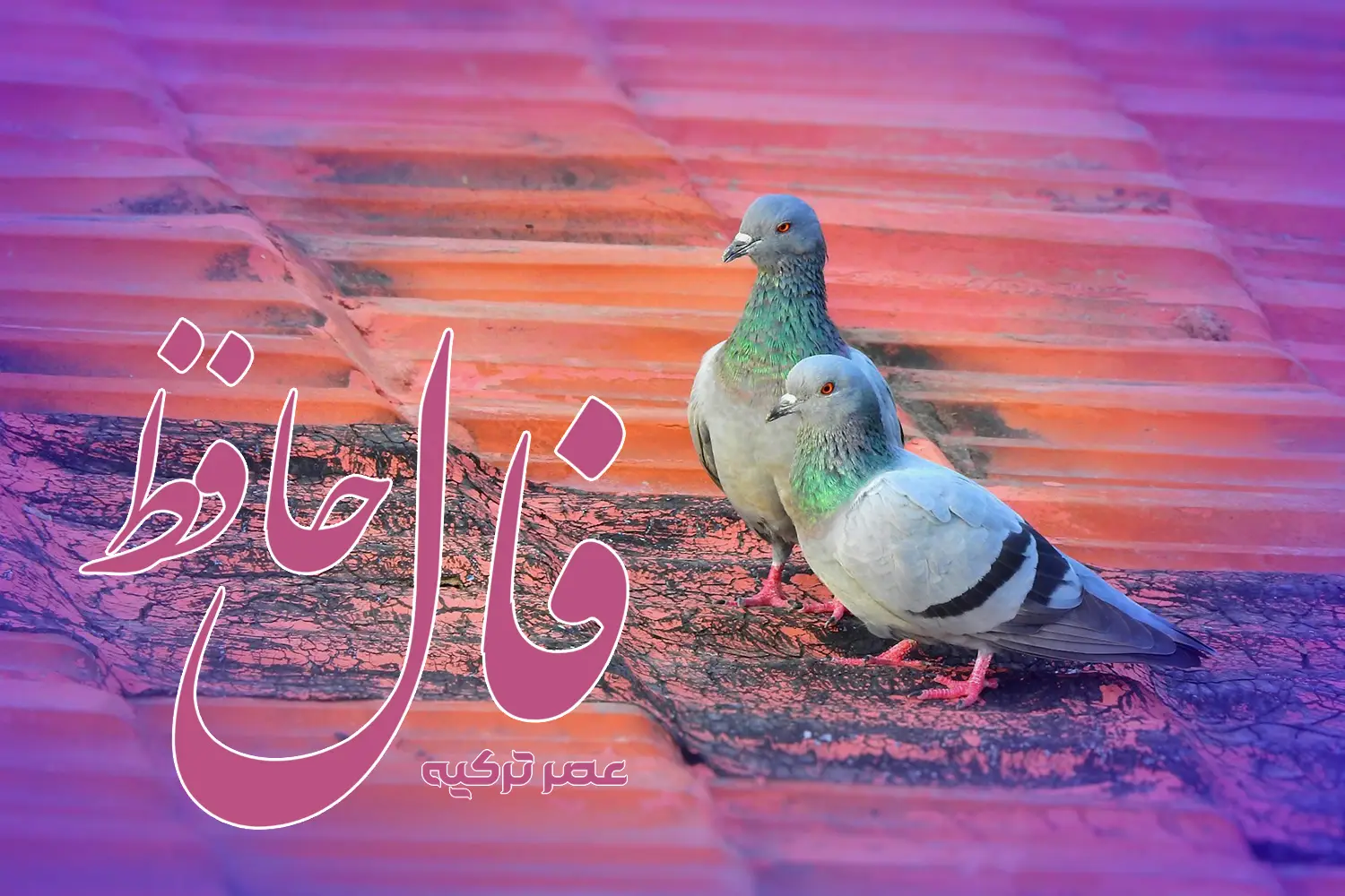فال حافظ 26 تیر 1404