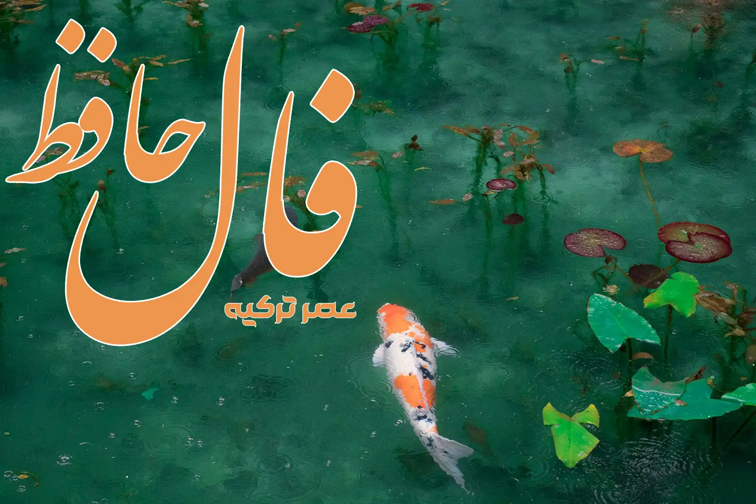 فال حافظ 30 تیر 1404