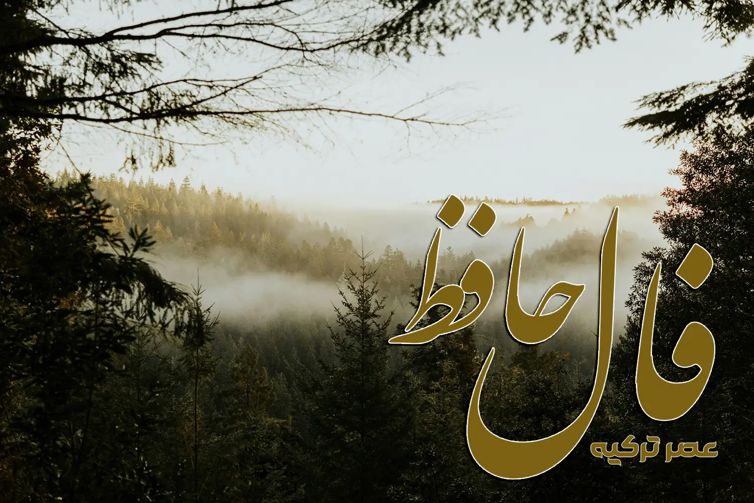 فال حافظ 7 مرداد 1404