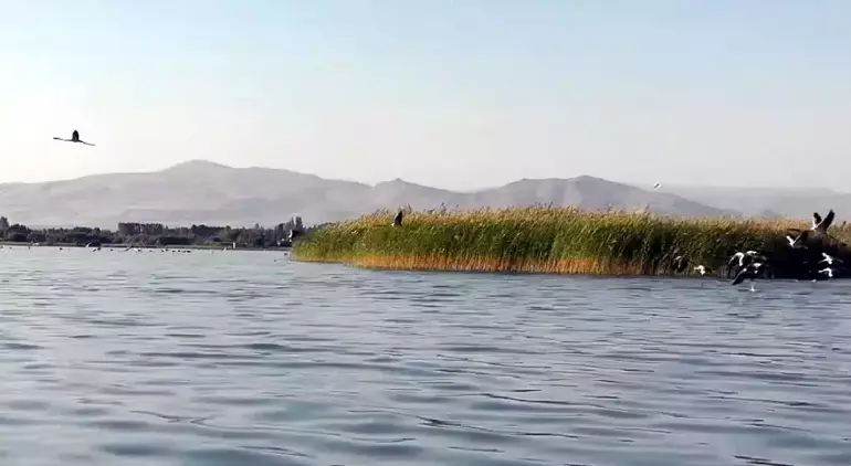 وان